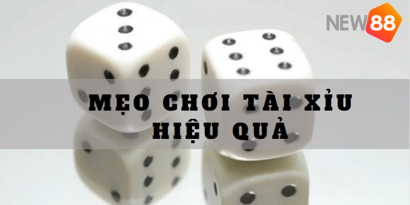 Tận dụng các ưu đãi của nhà cái là mẹo chơi tài xỉu giúp bạn tăng vốn cược