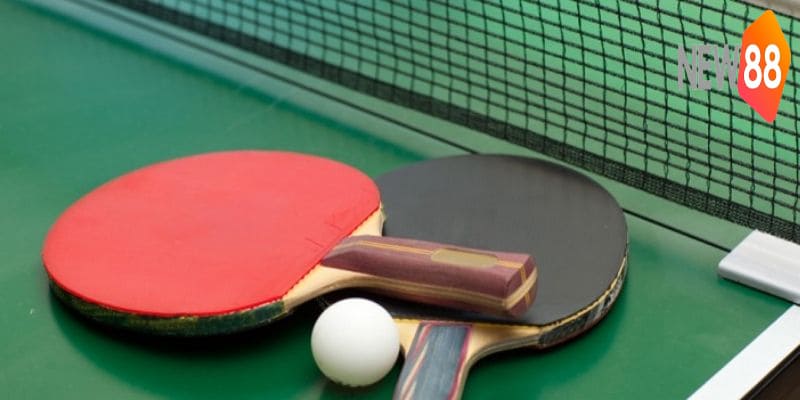 Tổng quan về cá cược bộ môn bóng bàn