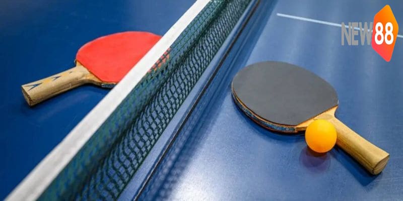 Tổng hợp kèo cá cược bóng bàn