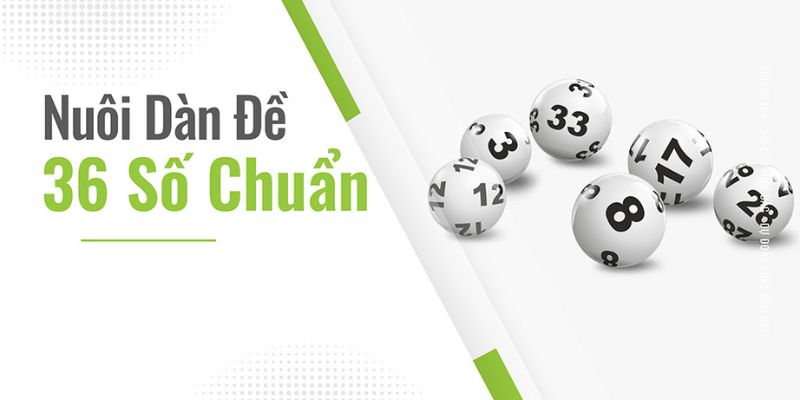 Cách vào vốn nuôi dàn đề 36 khung 3 ngày