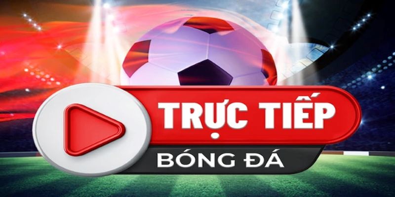 Có rất nhiều cách thức để xem trực tiếp copa america hiện nay