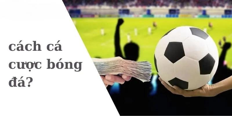 Những tiêu chí trên đánh giá nơi cá cược bóng online trên điện thoại uy tín