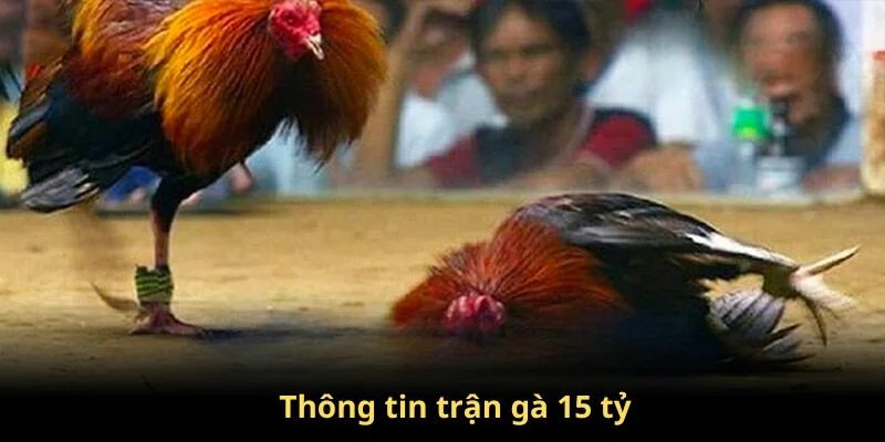 Đôi nét về trận gà 15 tỷ siêu kinh điển