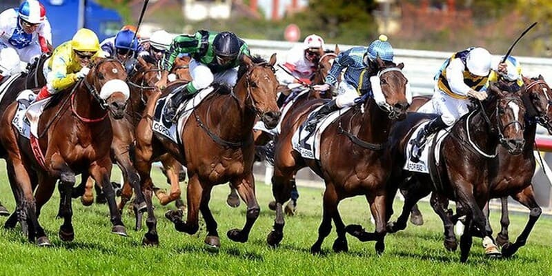 Tham khảo kinh nghiệm chơi cá cược yên tâm lĩnh thưởng